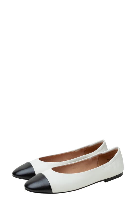Linea Paolo Nolan Cap Toe Ballet Flat In Eggshell/black