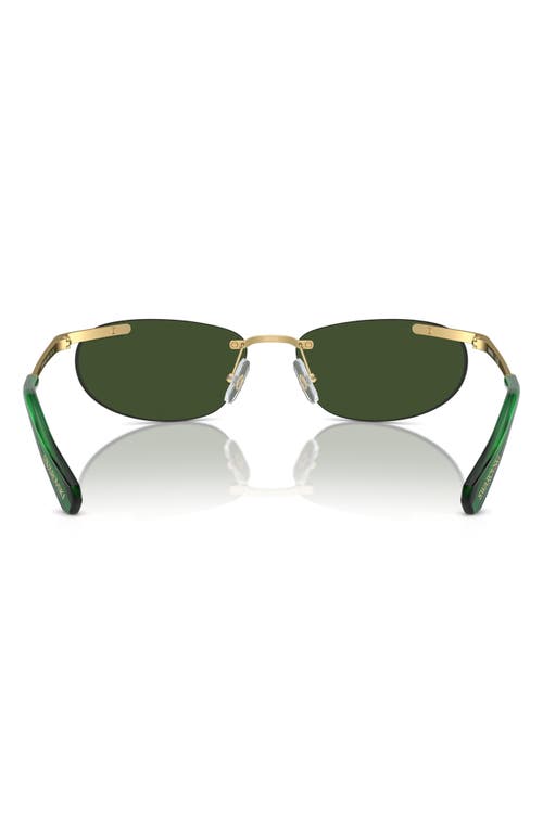 Shop Swarovski 59mm Oval Sunglasses In Matte Gold