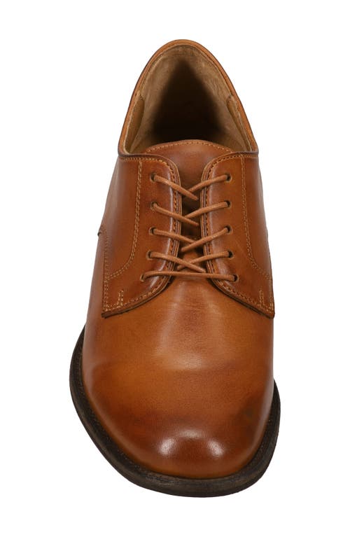 Shop Frye Tyler Flex Derby In Saddle