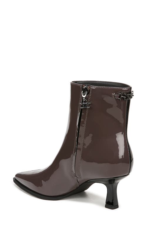 Shop Circus Ny By Sam Edelman Yuki Pointy Toe Bootie In Black/dark Chocolate