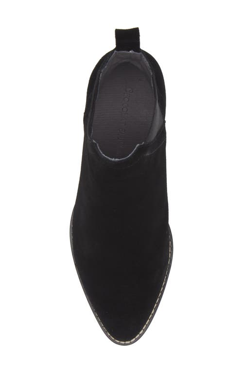Chocolat Blu Axa Chelsea Boot In Black Suede