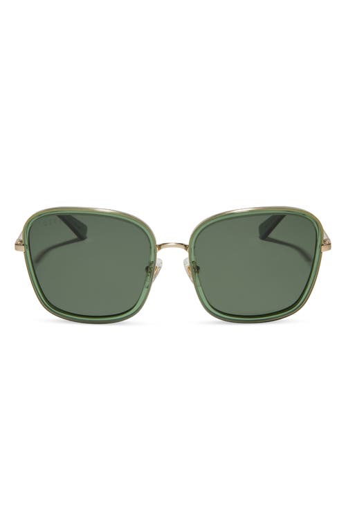 Genevive 57mm Polarized Square Sunglasses in Sage Crystal /G15