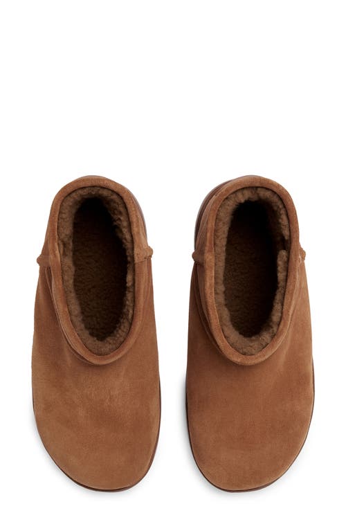 Bottega Veneta Snap Genuine Shearling Bootie In Brown
