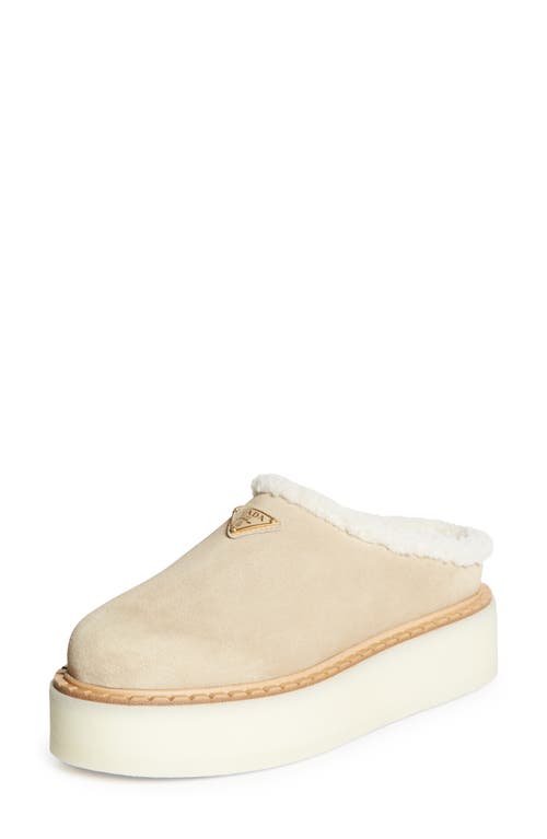 PRADA PRADA EVOLVE GENUINE SHEARLING CLOG