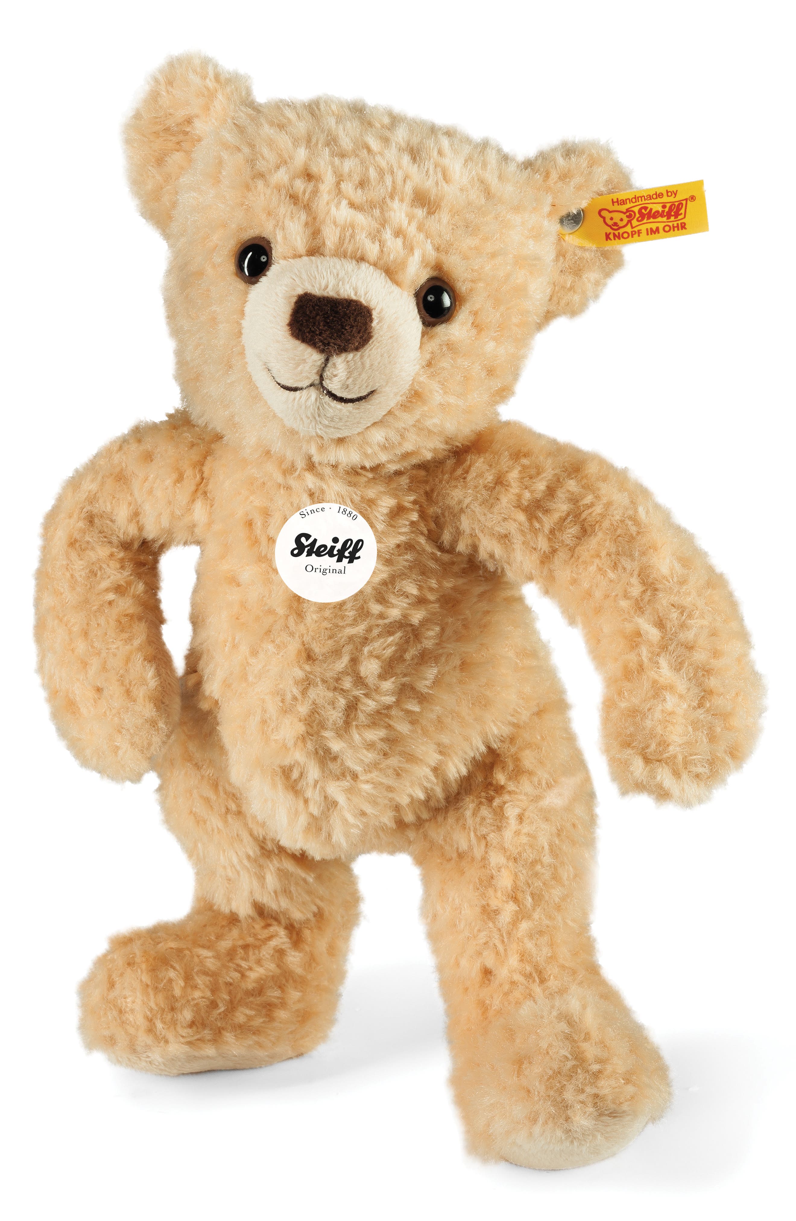 endless rose teddy bear bomber