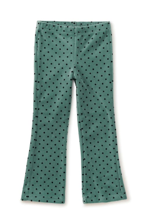 Tea Collection Polka Dot Velour Flare Pants in Dot In Sagebrush 