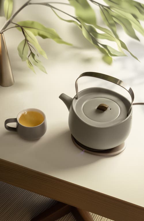 Ohom Leiph Self-heating Teapot Set In Soft Gray