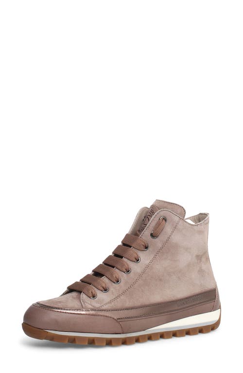 Candice Cooper Beige Nappa Leather High-top Sneaker In Taupe