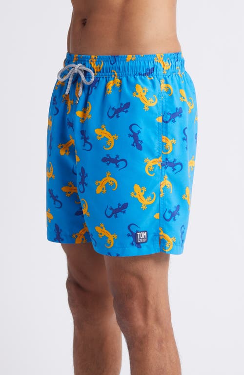Tom & Teddy Gecko Print Performance Swim Trunks In Blue/orange