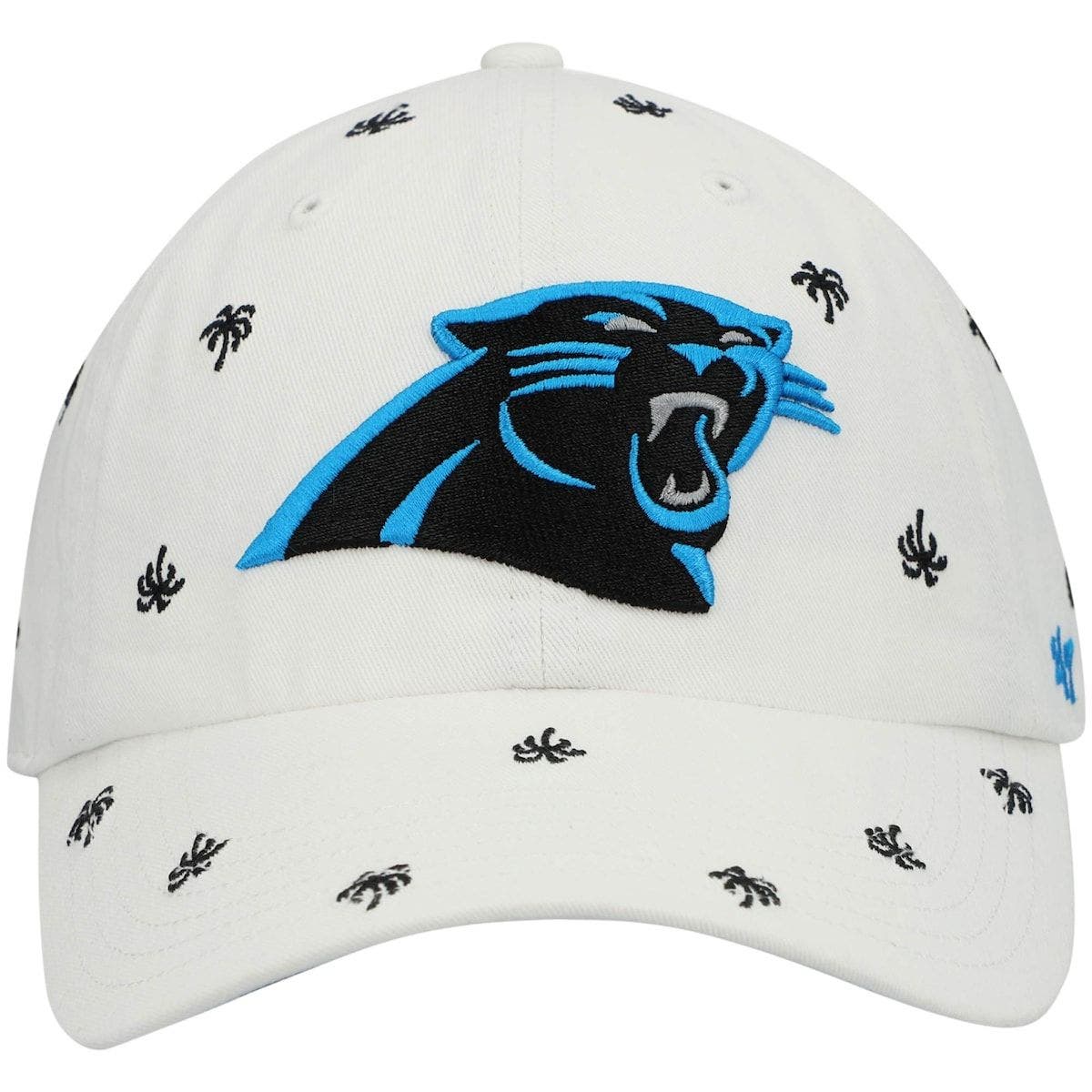 47 panthers hat