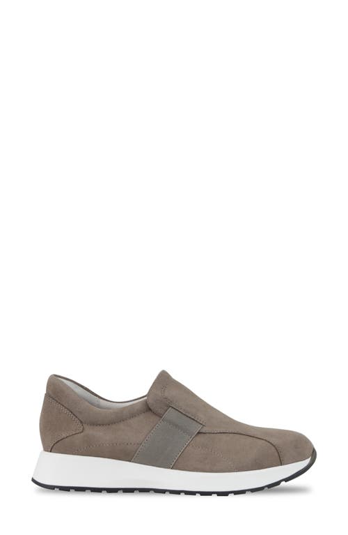 Laurel Slip-On Sneaker in Almond