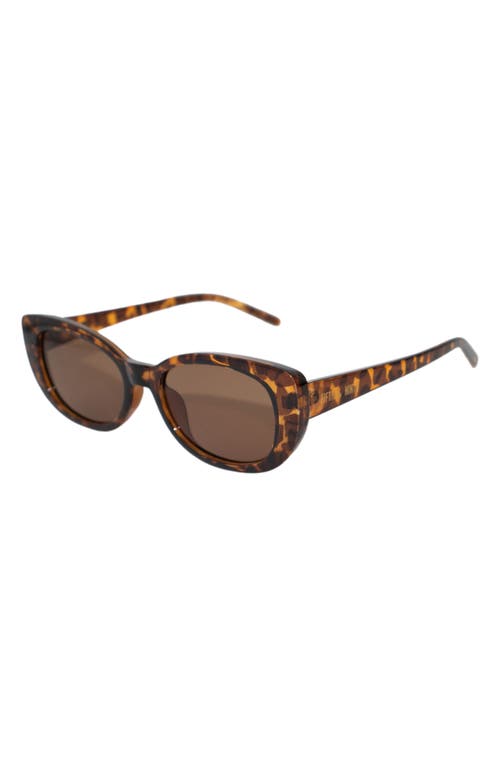 Fifth & Ninth Dolly 68mm Oversize Polarized Oval Sunglasses In Torte/brown