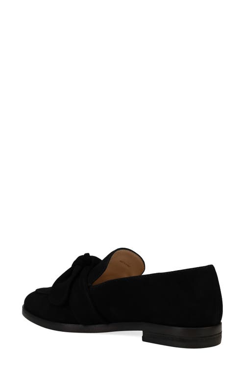 Pelle Moda Fares Loafer In Black