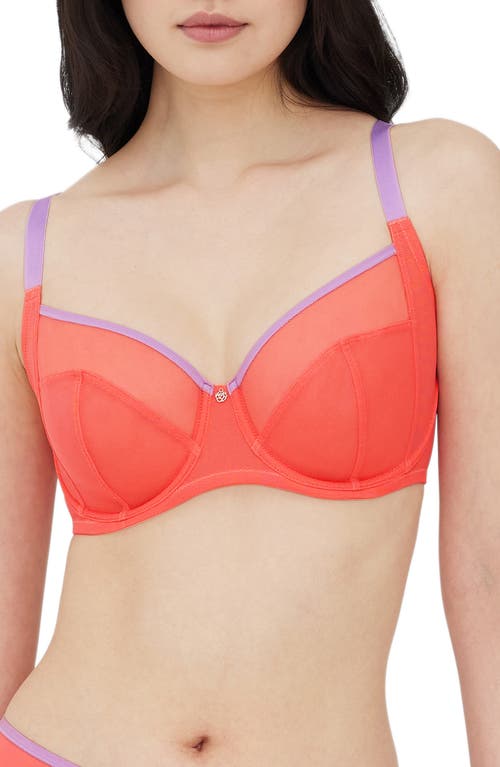 Skarlett Blue Spellbound Underwire Full Coverage Bra In Coral/lilc