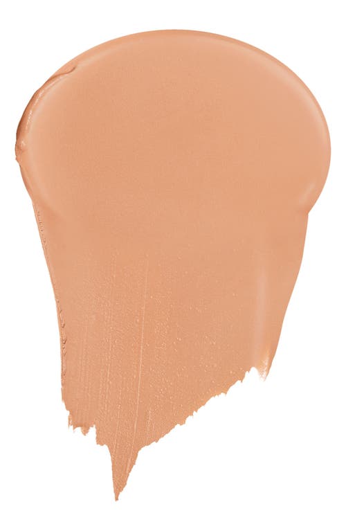 Dior Forever Skin Perfect Stick In 4n