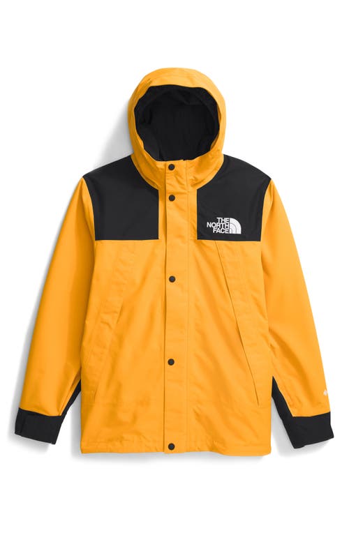 The North Face Kids' GTX Mountain Jacket in Summit Gold 