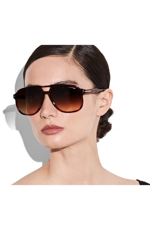 Shop Tom Ford Raoul 62mm Gradient Navigator Sunglasses In Dark Havana/gradient Roviex