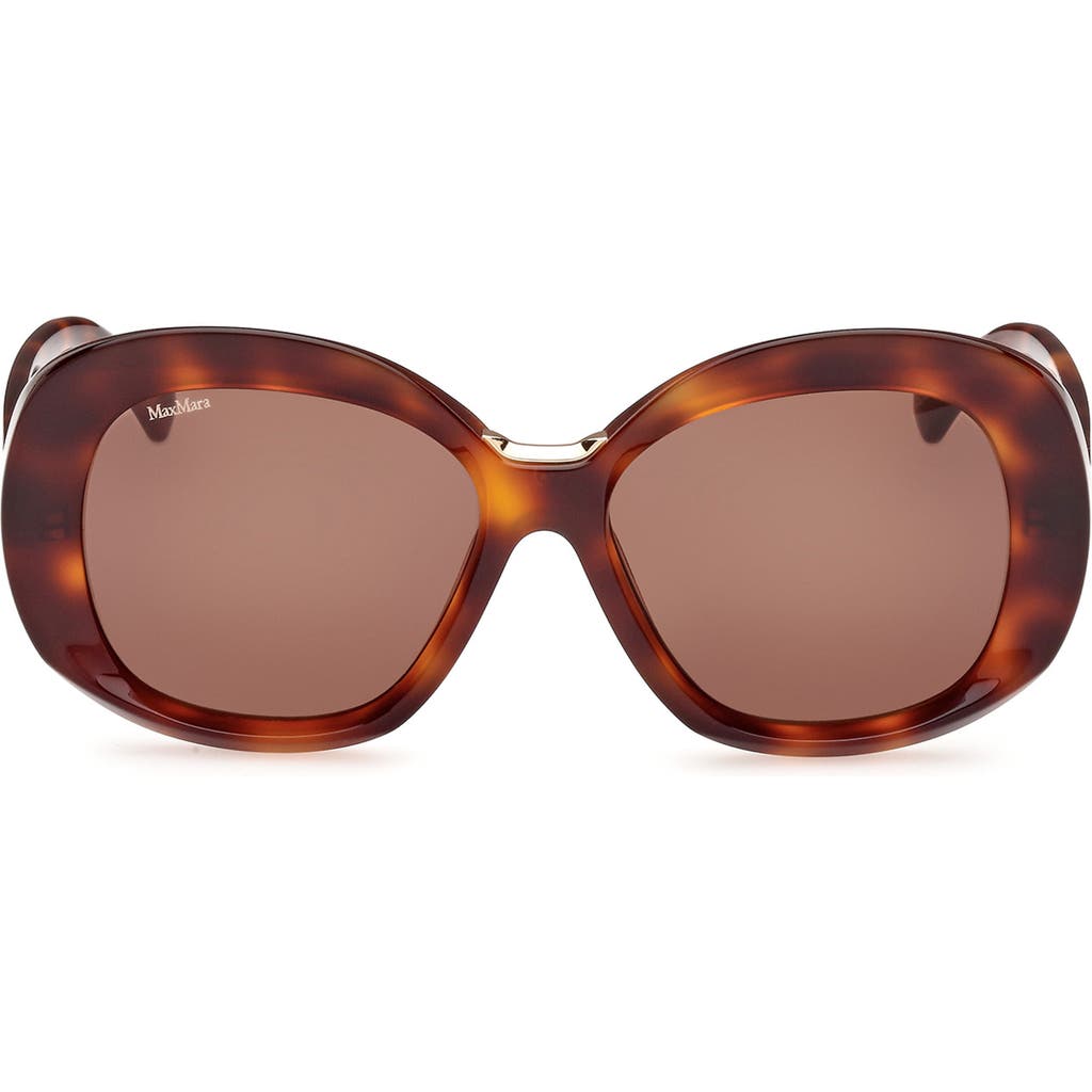 Shop Max Mara Edna 55mm Round Sunglasses In Dark Havana/brown