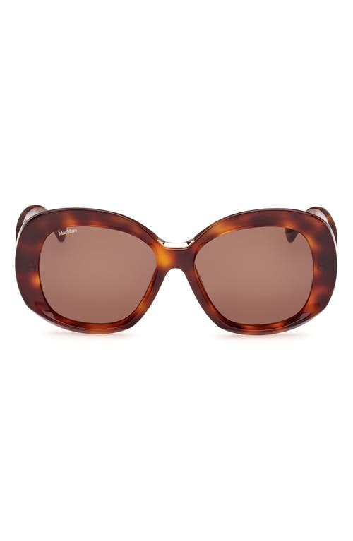 Max Mara Edna 55mm Round Sunglasses in Dark Havana /Brown at Nordstrom
