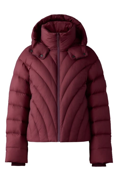 Shop Mackage Hope 750 Fill Power Down Puffer Jacket In Garnet