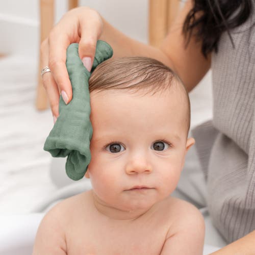 Comfy Cubs Muslin Washcloths In Fern