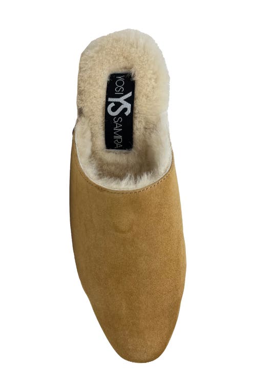 Shop Yosi Samra Zoe Genuine Shearling Lined Mule In Whiskey