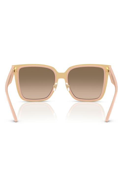 Versace 58mm Butterfly Sunglasses In Blush