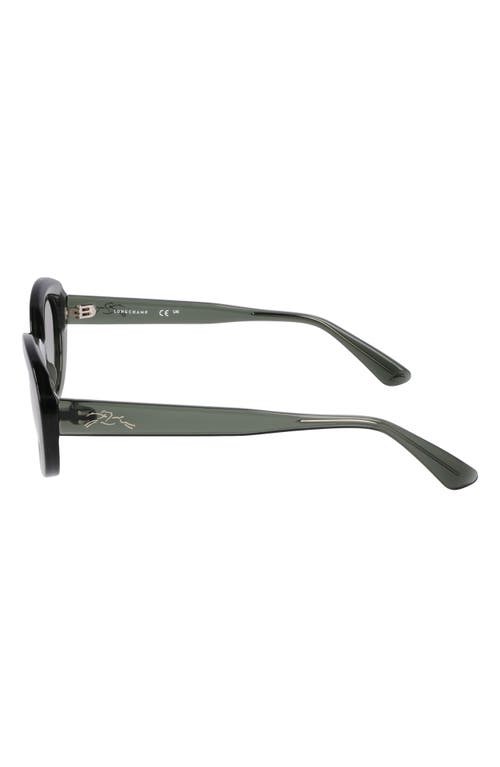 Longchamp Le Pliage 50mm Oval Sunglasses In Transparent Green
