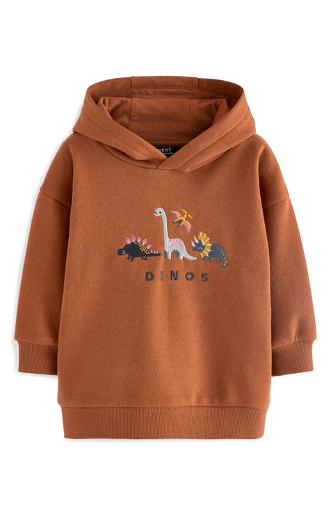 Sweatshirts Hoodies for Boys Brown Nordstrom