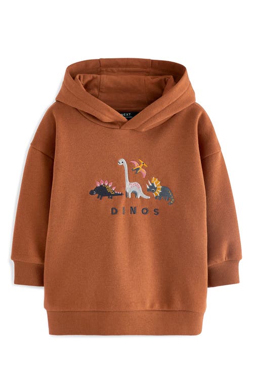 Shop Next Kids' Dinosaur Embroidered Graphic Hoodie In Brown