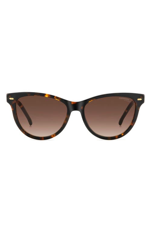 Carrera Eyewear 54mm Cat Eye Sunglasses In Brown