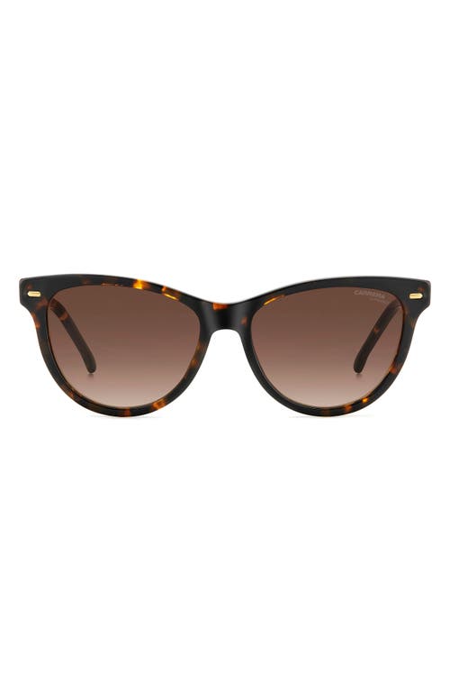 Shop Carrera Eyewear 54mm Cat Eye Sunglasses In Havana/brown Gradient