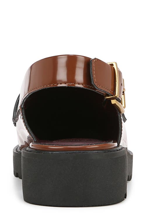 Franco Sarto Coppola Slingback Penny Loafer In Tobacco