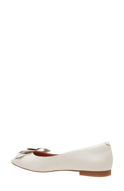 Shop Linea Paolo Nerine Pointed Toe Flat In Ivory