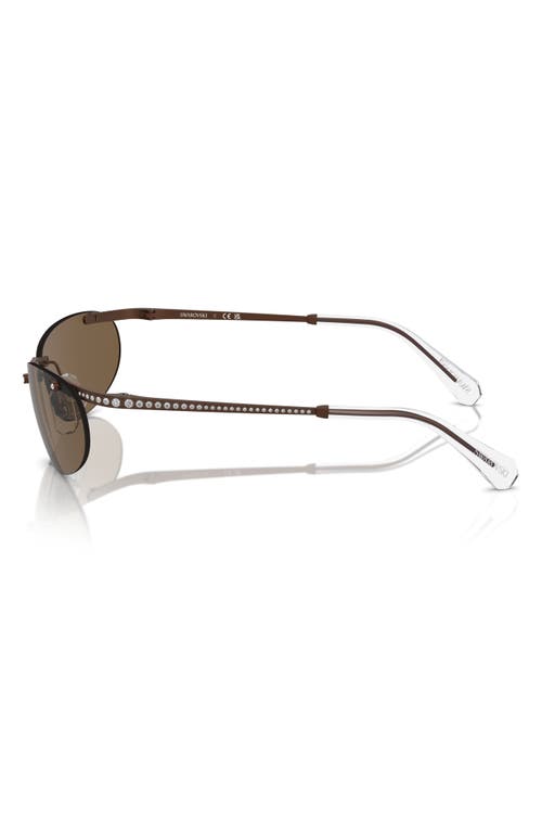 Shop Swarovski 59mm Oval Sunglasses In Matte Brown