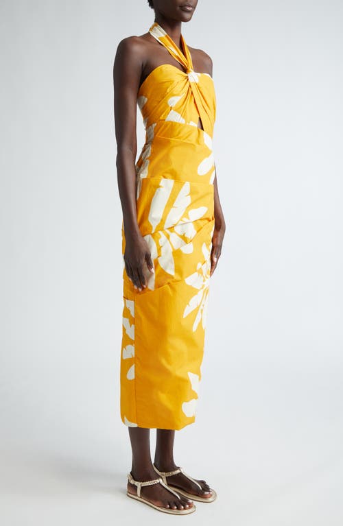 Shop Johanna Ortiz Language Palm Print Halter Midi Dress In Wilderness Yellow-ecru