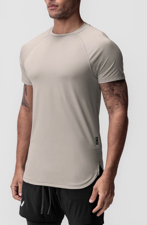 Shop Asrv Aerosilver® Established Tee In Chai