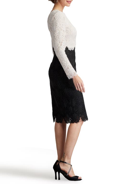 Shop Tadashi Shoji Colorblock Long Sleeve Corded Lace Cocktail Dress In Ivory/black