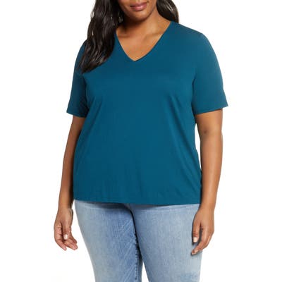 Plus Size Eileen Fisher Striped V-Neck Organic Cotton Tee, Blue