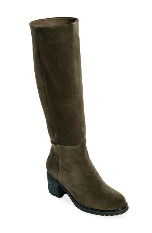 Shop Chocolat Blu Ninna Knee High Boot In Olive Suede