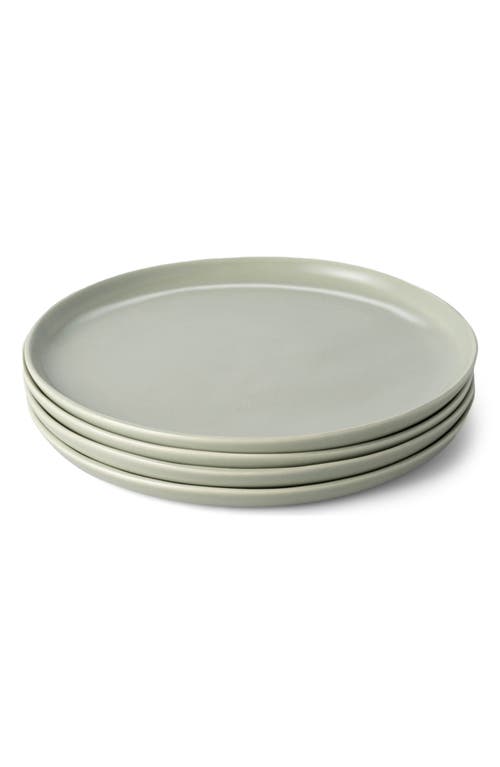 Fable The Dinner Set of 4 Plates in Beachgrass Green 