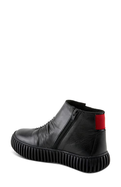 Shop Spring Step Holman High Top Sneaker In Black