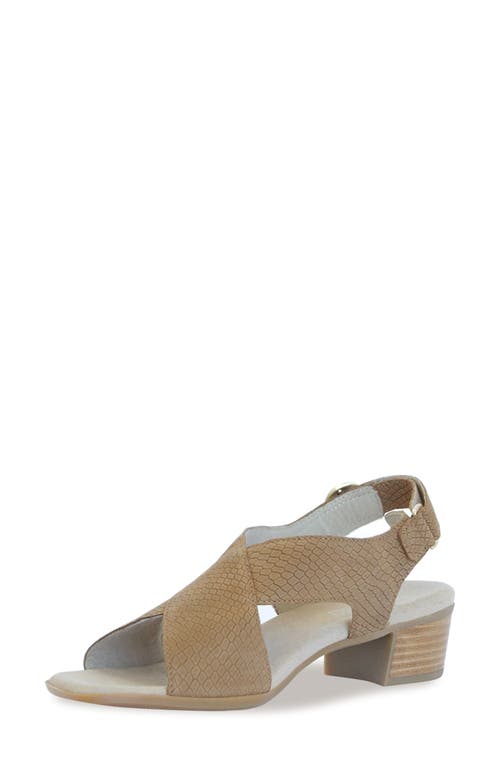 Munro Jenny Sandal In Medium Tan Lizard Nubuck