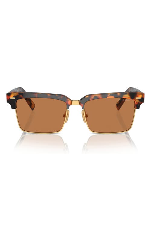 Miu Miu 54mm Square Sunglasses In Havana