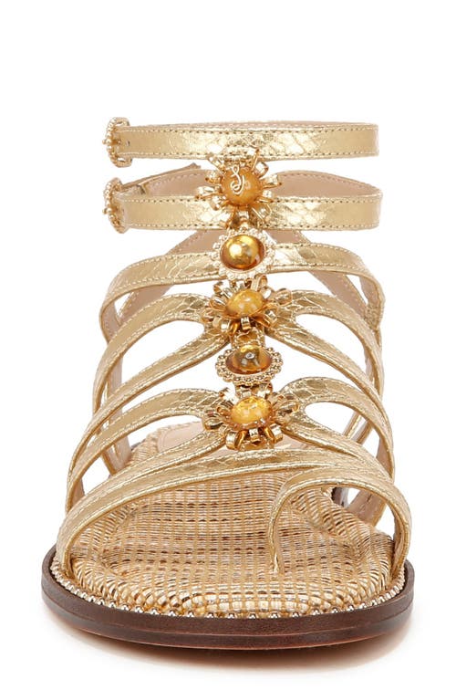 Sam Edelman Tianna Gladiator Sandal Gold Print In Gold