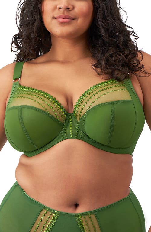 Elomi Matilda Full Figure Underwire Plunge Bra in Green Jungle 