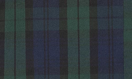 Alexia Admor Women's Farrah Double Breasted Blazer In Green Plaid