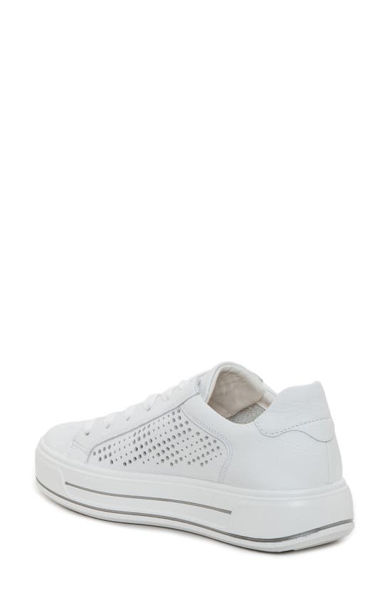 Ara Carol Perforated Sneaker In White