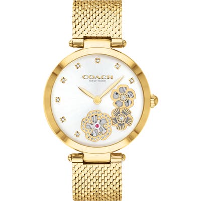 Coach Park Mesh Strap Watch,