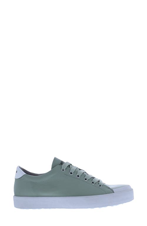 Blackstone TW61 Low Top Sneaker in Green Leather